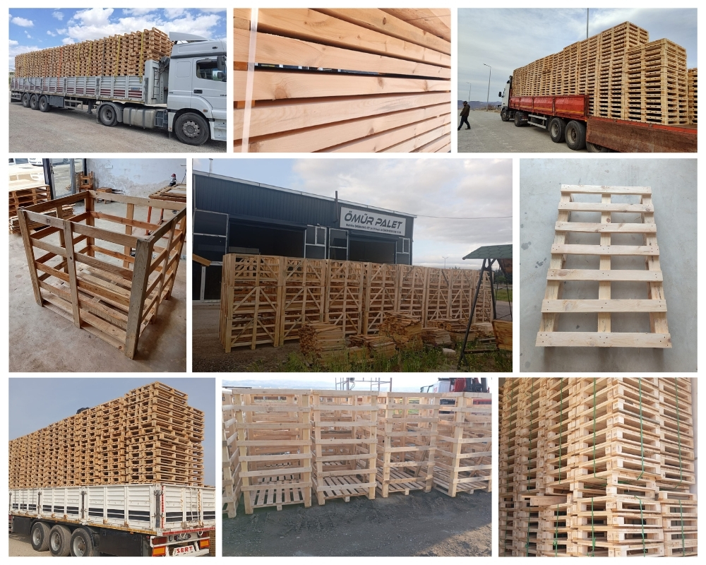 Marotta Palette Europe, Acheter des palettes en gros
